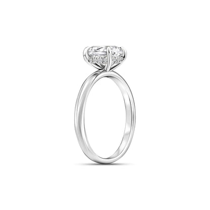 The Naledi - Plata